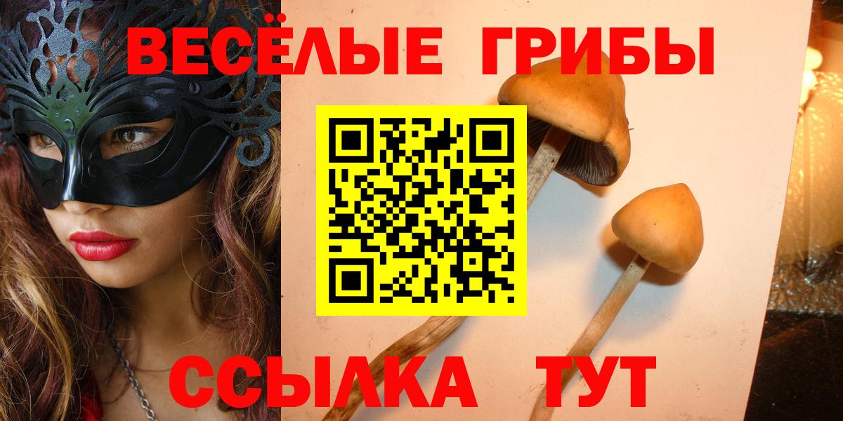 Галлюциногенные грибы Magic Shrooms  Вход с VPN  Губаха 